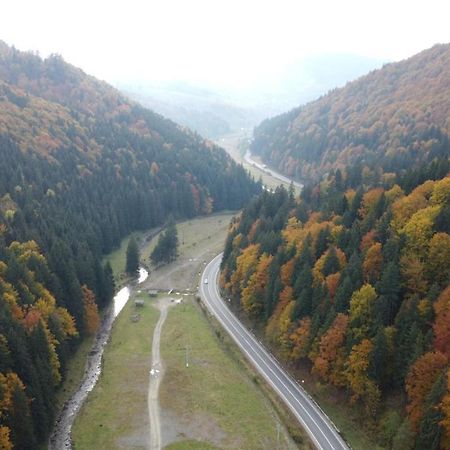 Pensiunea Bradului Colibiţa Exteriér fotografie